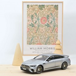 Norev 1/18 Mercedes AMG GT 63 4MATIC 2021