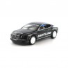 Minichamps 1/43 Bentley Continental GT World Record Car on Ice 2007 Juha Kankkunen